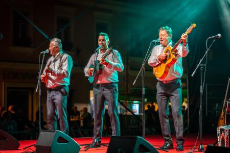 Največji etnološki festival v Sloveniji Dnevi narodnih noš in oblačilne dediščine v Kamniku že enainpetdesetič  (22)